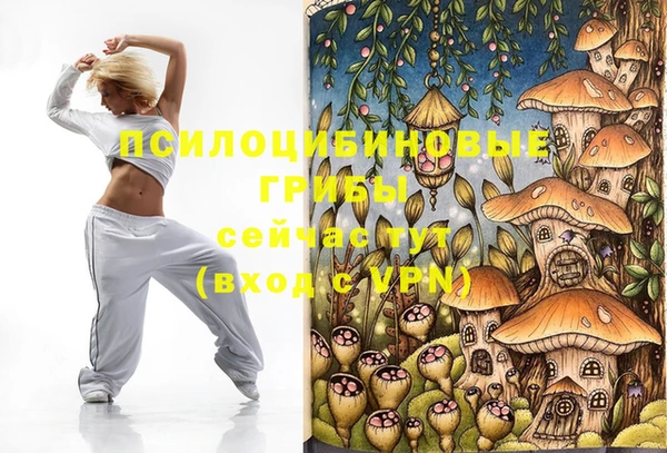 ПСИЛОЦИБИНОВЫЕ ГРИБЫ Баксан