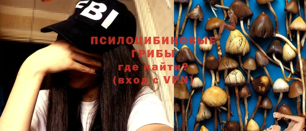 гидропоника Аркадак