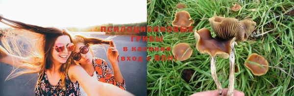 гидропоника Аркадак
